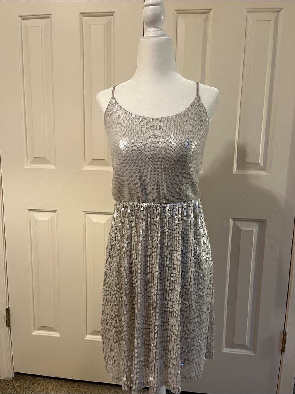 Express Silver Sequin Mini Dress